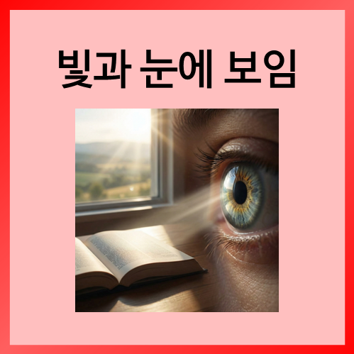  [초등화학]빛과 눈에 보임