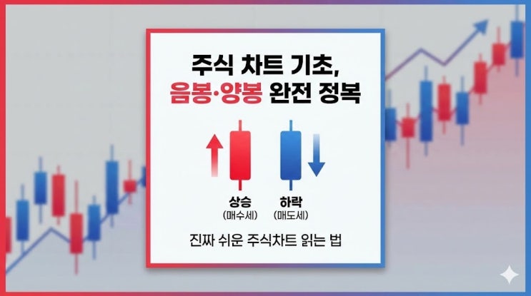  음봉·양봉 제대로 이해하는 법, 초보도 쉬운 차트 비밀