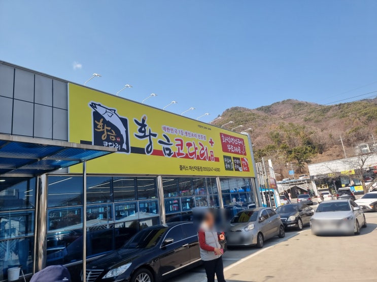  가포맛집 황금코다리