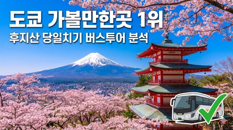  도쿄 가볼만한곳 추천: 후지산 당일치기 버스투어 코스 및 비용 총정리