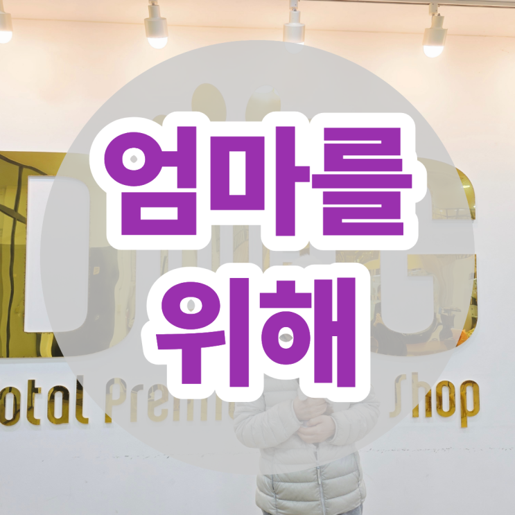  엄마 외로우실것 같아서, 금산 따님이 시츄와 맺은 인연 세종 강아지분양 원독