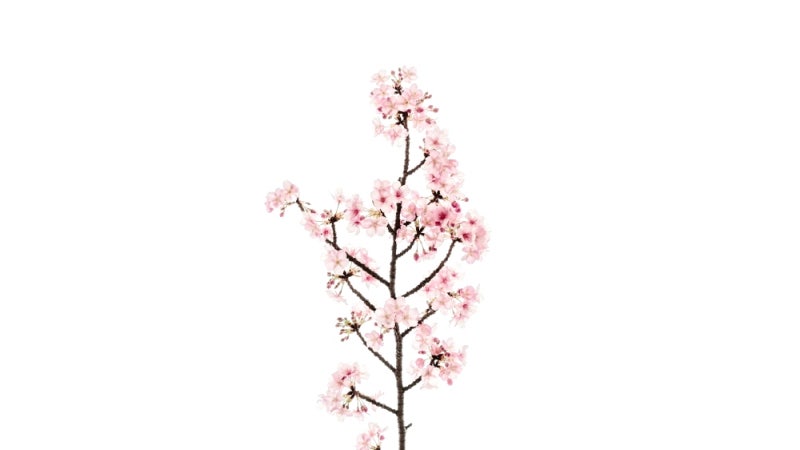 장애인 차량 표지판 발급 방법과 절차