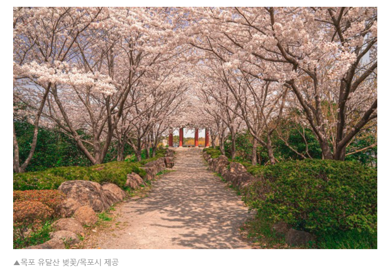 로드넘버원 사진 1