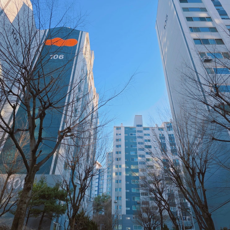  독립문삼호아파트 임장 후기 31평 시세 입지 단지 내부 분위기