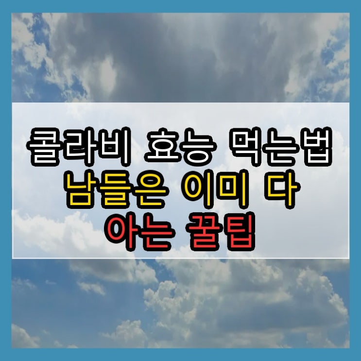  콜라비 효능 먹는법 남들은 이미 다 아는 꿀팁