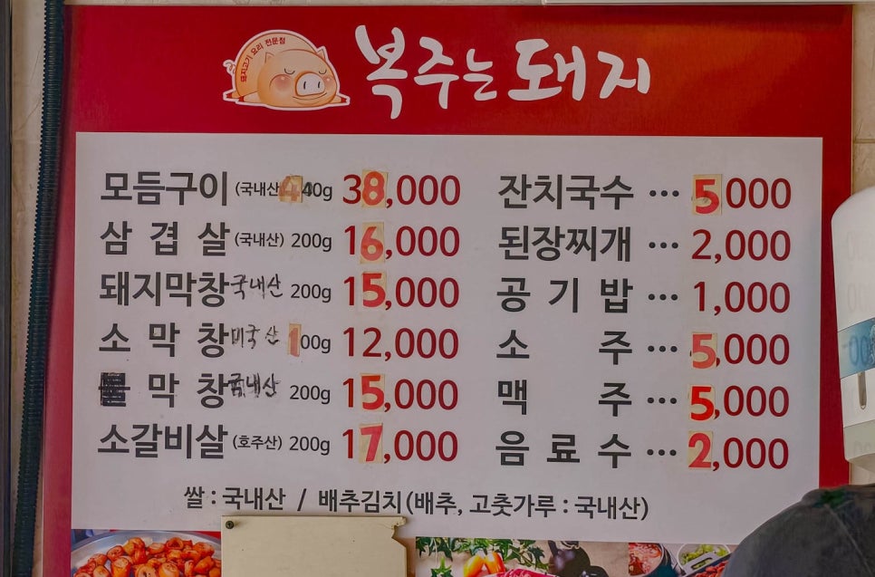 복주는돼지 사진 4