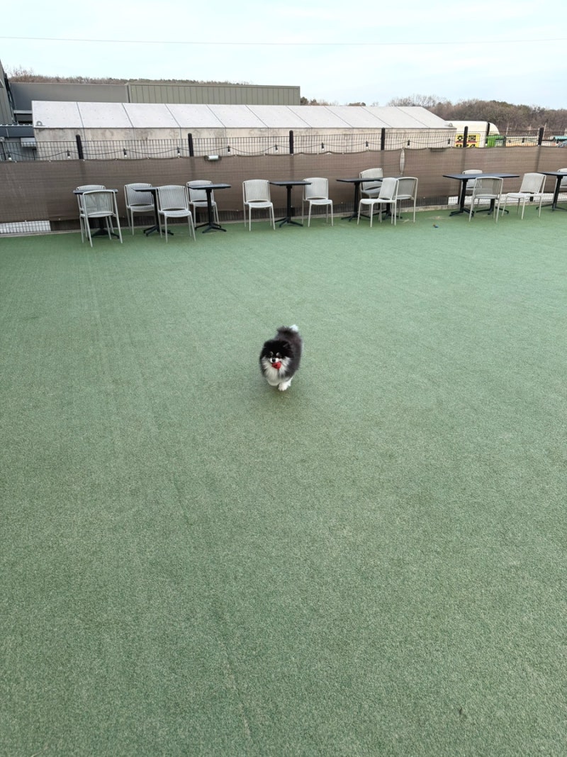 사진 6