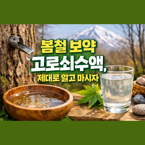고로쇠물 효능, 제철시기, 영양성분, 칼로리, 보관방법, 부작용