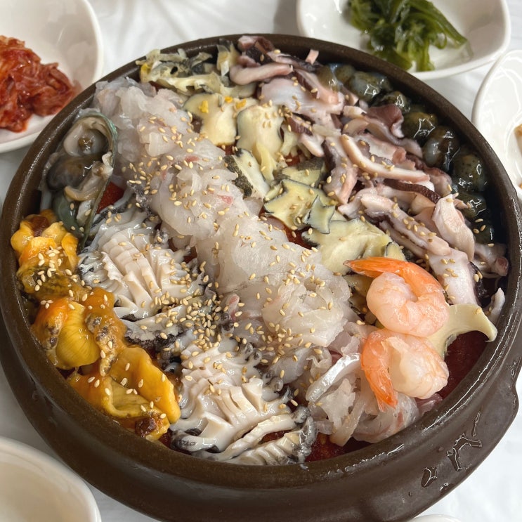 [여수 맛집] 반려동물동반 여행 항아리물회 맛집 진남횟집 내돈내산