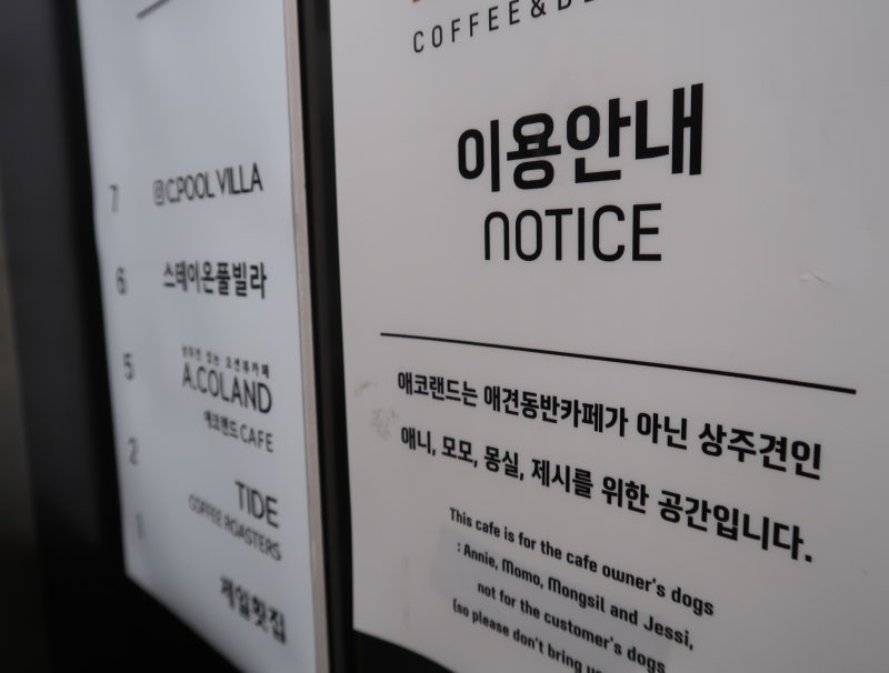 사진 7