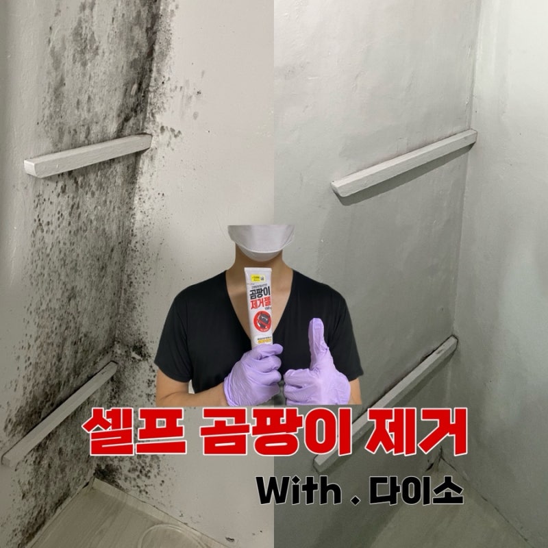 일상) 다이소 셀프 곰팡이 제거 젤 효과 후기 꿀팁