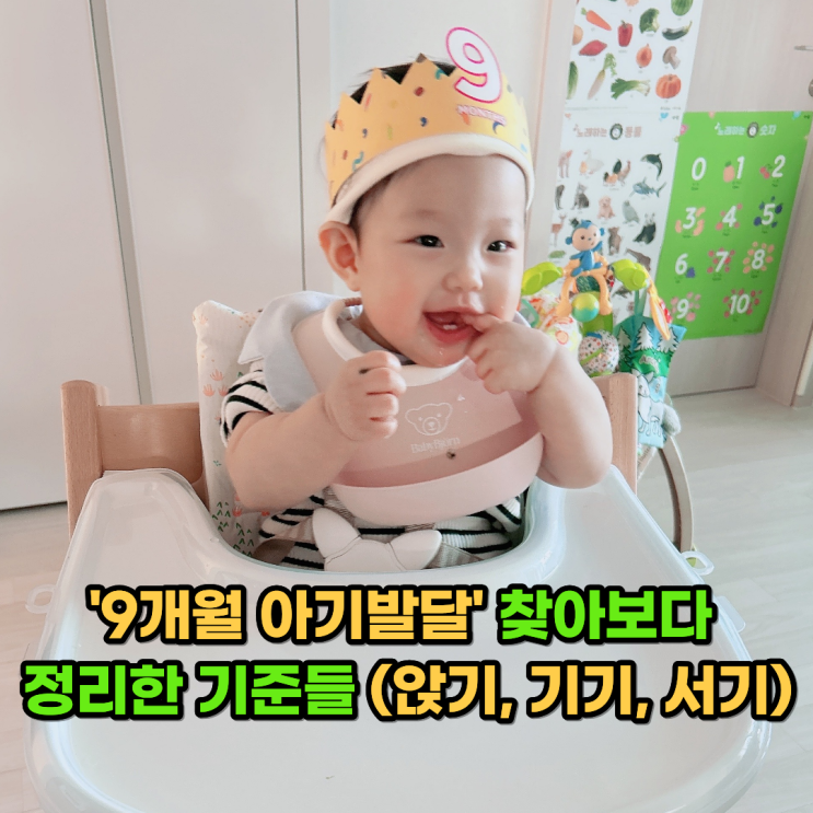  '9개월 아기발달' 찾아보다 정리한 기준들 (앉기, 기기, 서기)