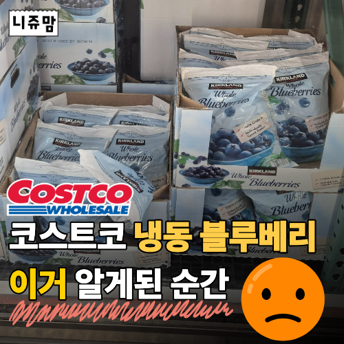 코스트코 쟁여템 블루베리 세척 안 했더니 “3일” 만에 후회했어요