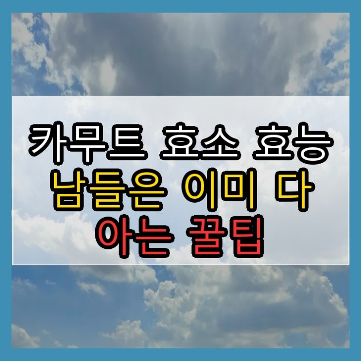  카무트 효소 효능 남들은 이미 다 아는 꿀팁