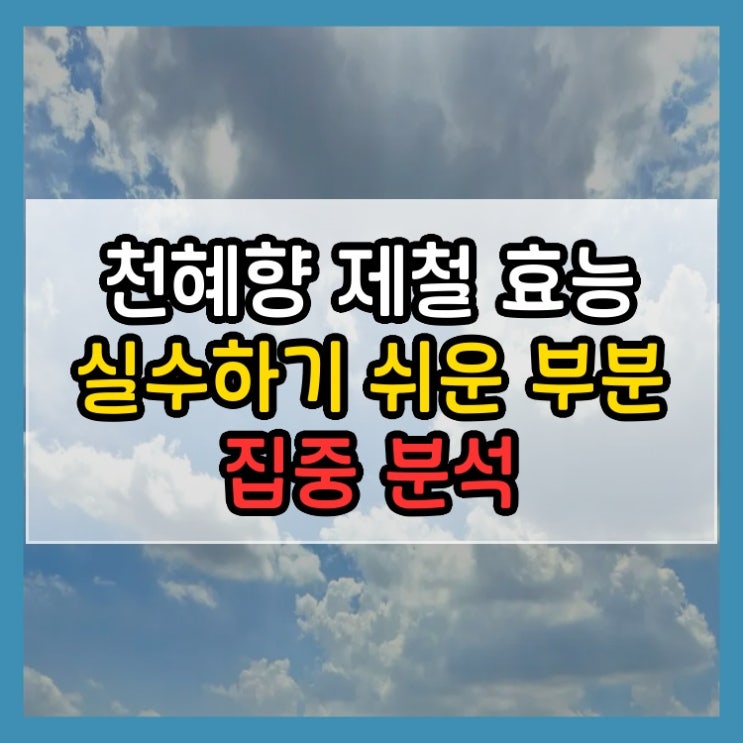  천혜향 제철 효능 실수하기 쉬운 부분 집중 분석