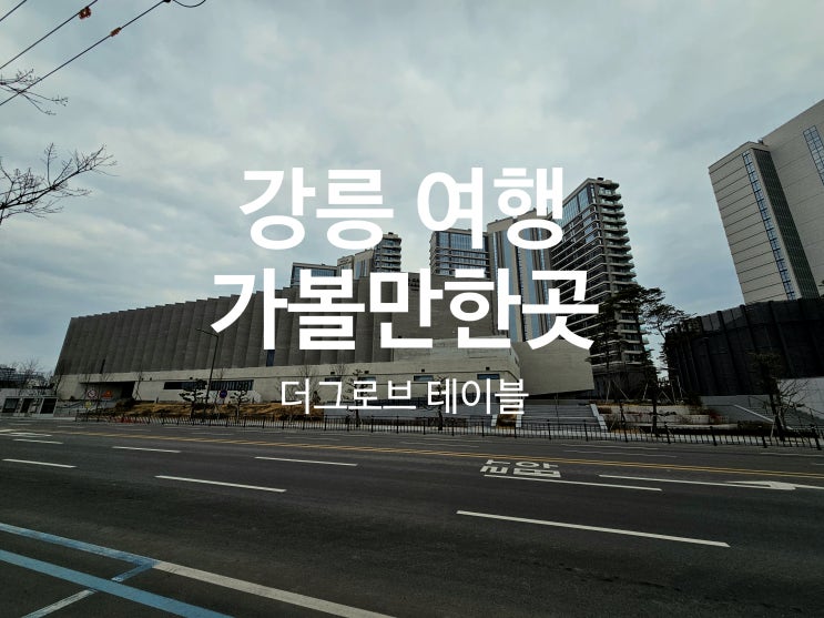  신라모노그램 강릉에 머문다면 꼭 들러야할 테라로사와 더그로브테이블