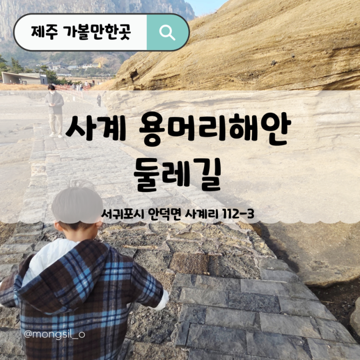  제주도민 무료 입장료 용머리해안 둘레길 걷기 유채꽃 코스