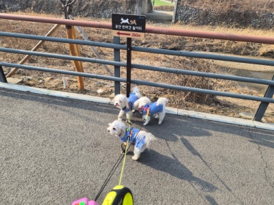 사진 5