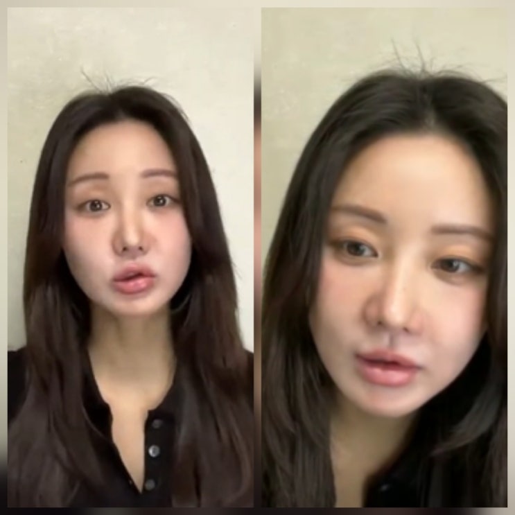 한그루 유튜브 근황 나이 고향 학력 프로필
