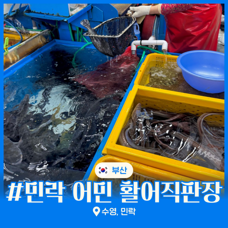  민락어민 활어직판장 가격 부산 광안리 여행 가볼만한곳 남영호 추천