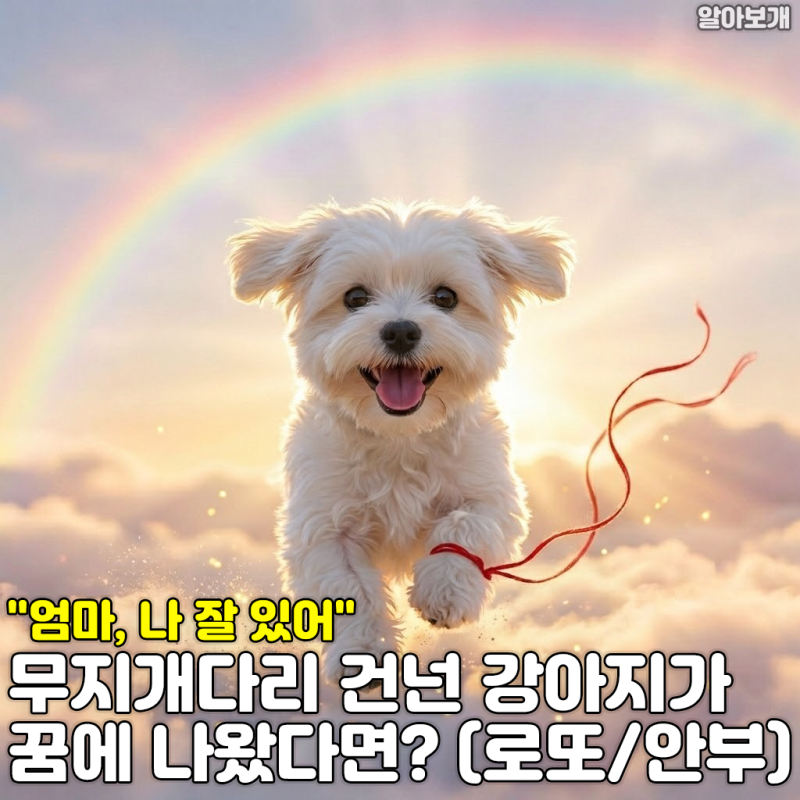 "엄마, 나 잘 있어" 무지개다리 건넌 강아지가 꿈에 나왔다면? (로또/안부)