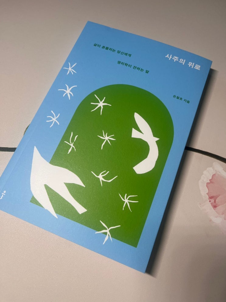  손철호 명리학 관련 서적 사주의 위로 감상평