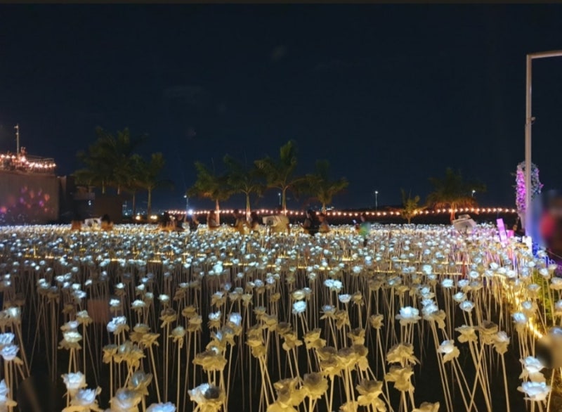 필리핀세부 막탄 여행 가볼만한 곳 – 코르도바 만송이 장미 (화려한 장미 정원과 포토존 전문)