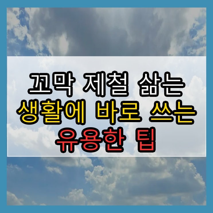  꼬막 제철 삶는 생활에 바로 쓰는 유용한 팁