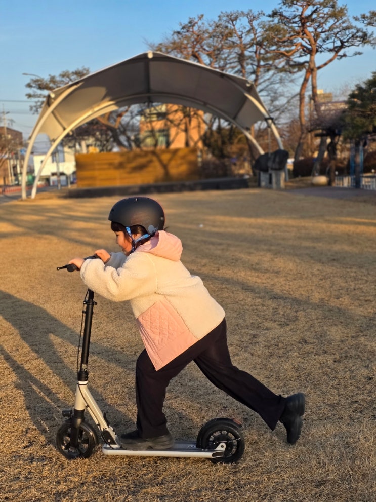  이중브레이크 장착 마이크로킥보드 신상 접이식 초등학생 킥보드