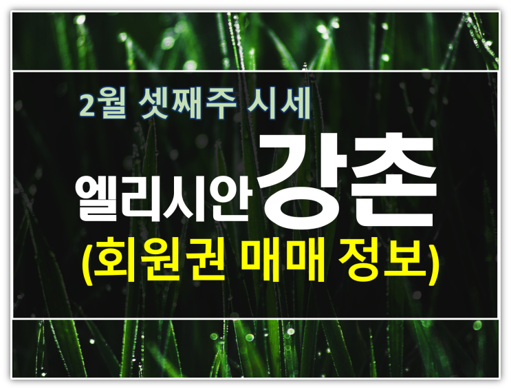  엘리시안강촌cc 회원권 시세 및 매매정보