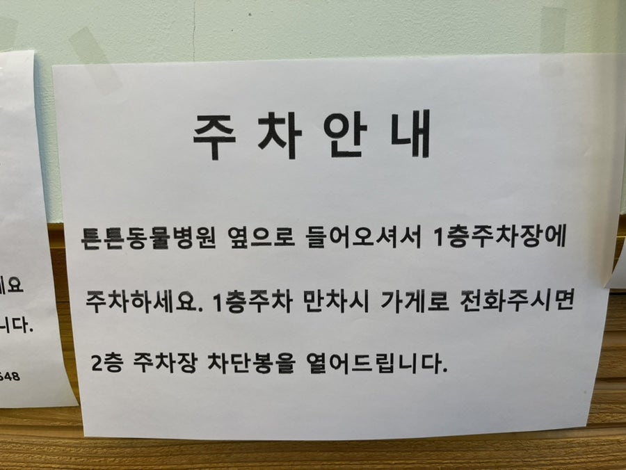 국시원 사진 6