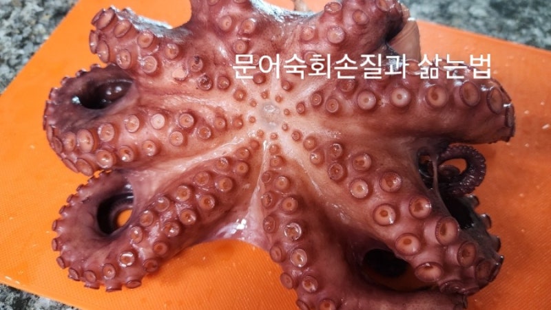 냉동문어손질법, 문어숙회삶는법 문어숙회 집밥요리