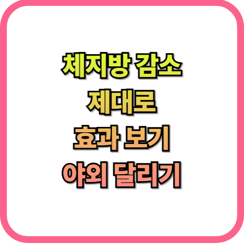  체지방 감소를 위한 러닝스마트 워치 분석 활용