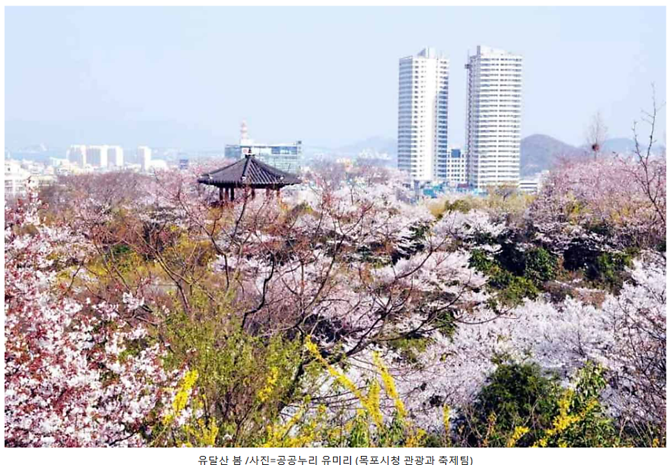 로드넘버원 사진 2