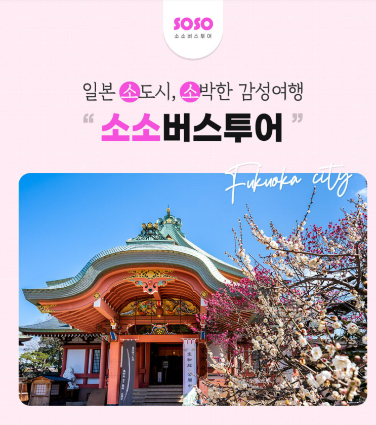  후쿠오카 버스투어 추천｜소소버스투어 유후인 코스 후기 (다자이후·벳부 가마도지옥 포함)