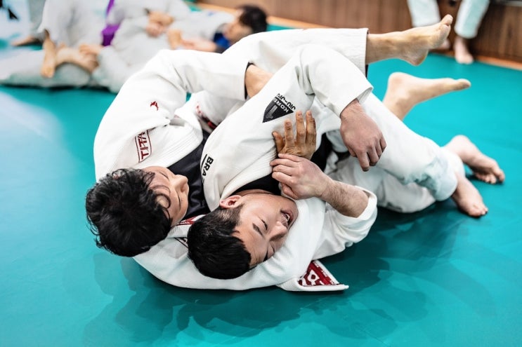  그레이시 주짓수 영등포의 규칙과 문화 | 문래주짓수 당산주짓수 목동주짓수