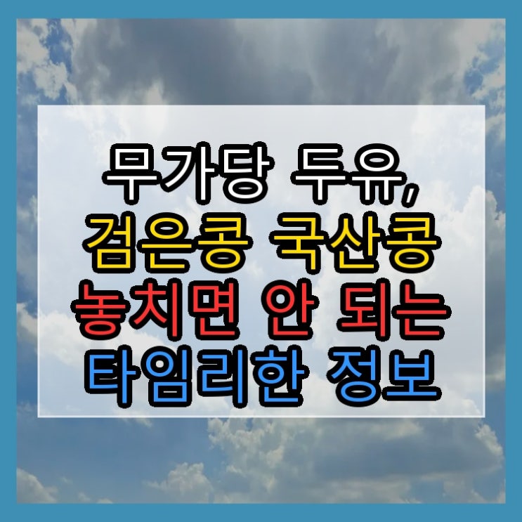  무가당 두유, 검은콩 국산콩 놓치면 안 되는 타임리한 정보
