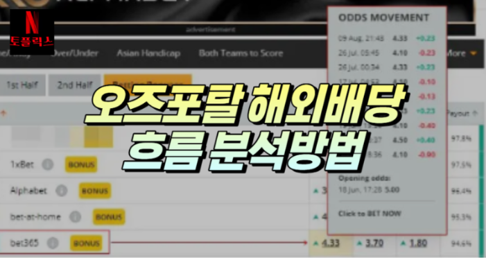  오즈 포탈 해외 배당 흐름 분석법