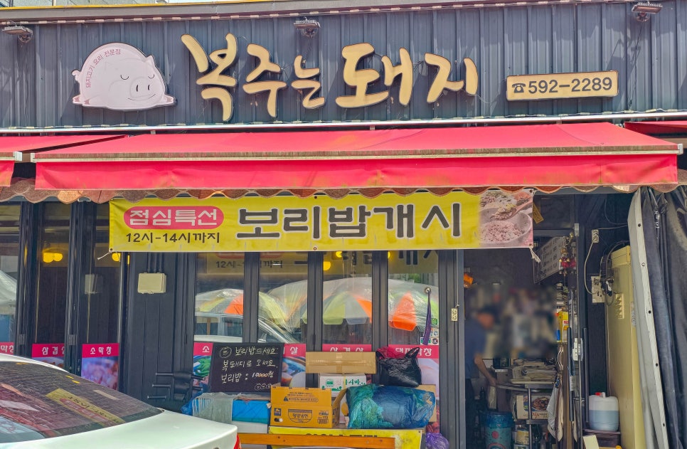 복주는돼지 사진 2