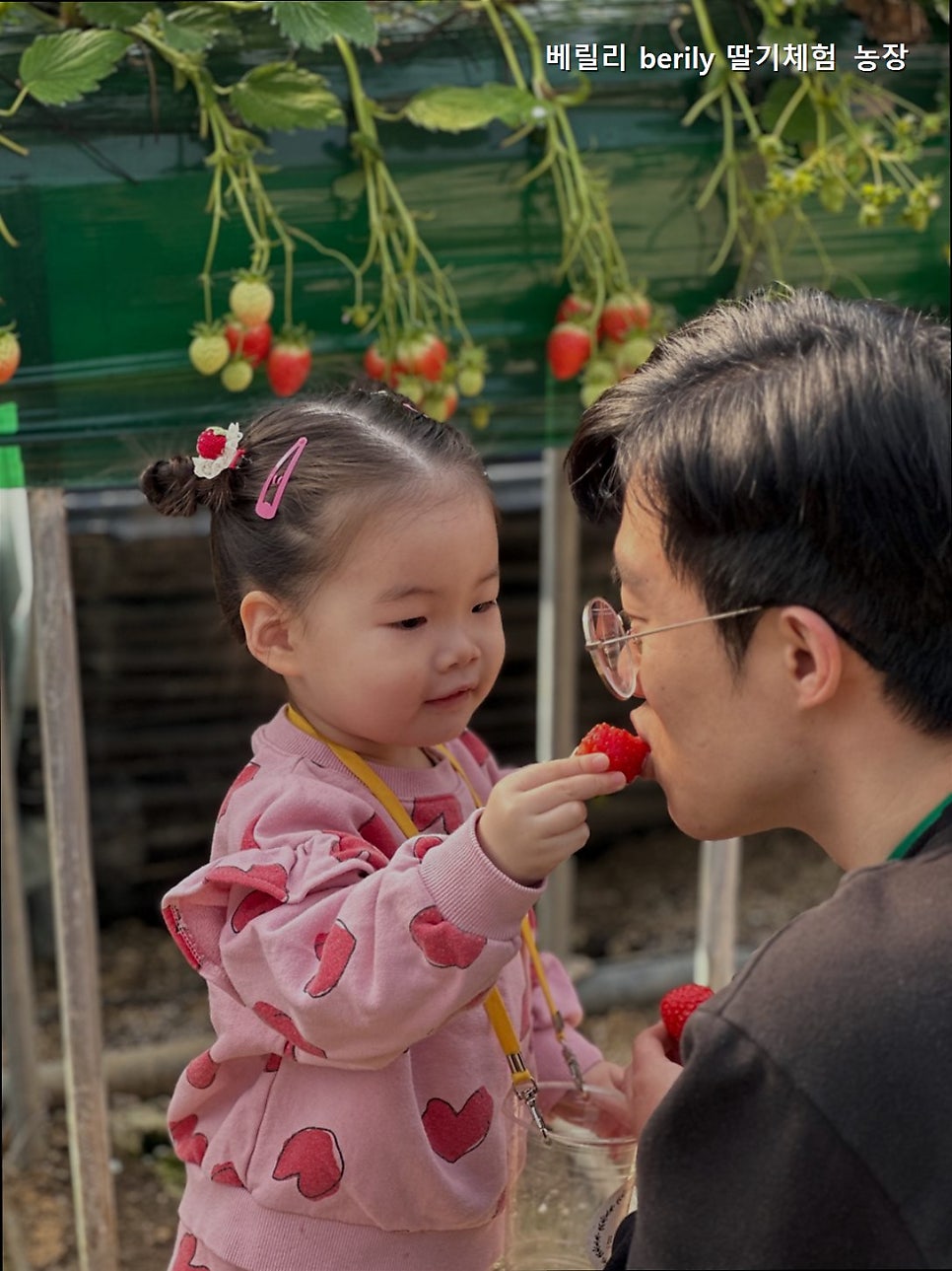 베릴리 사진 2