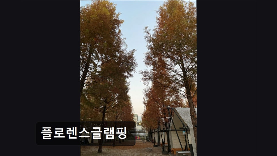 플로렌스 글램핑 사진 4