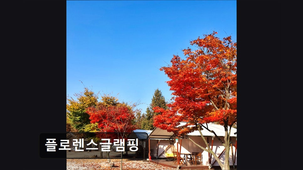 플로렌스 글램핑 사진 5