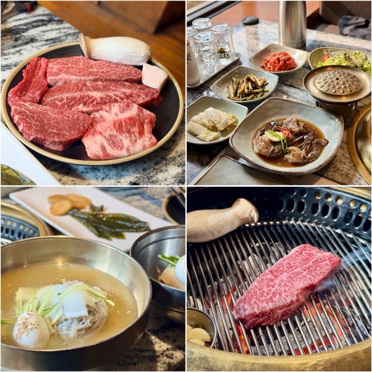  마포맛집 서울안심축산 마포용강점 마포회식 / 소고기 맛집