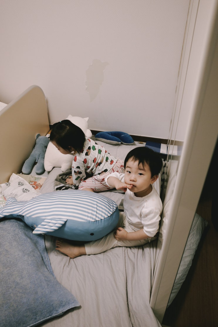  리코 GR4 시네마틱 그린, 퇴근길의 쓸쓸함을 영화로 만드는 색감 (내돈내산 6탄)