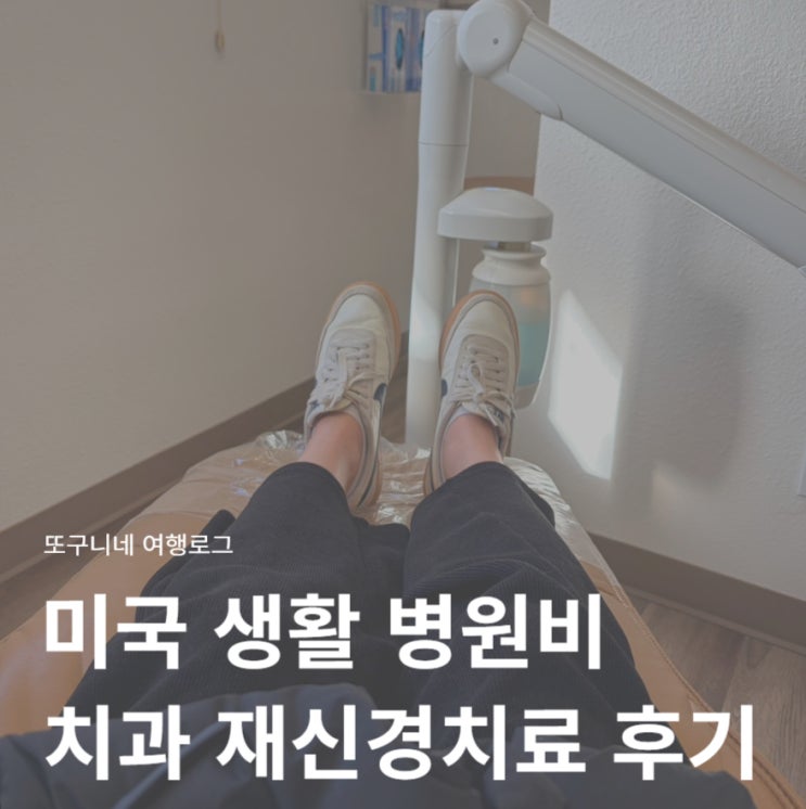  미국 생활 병원비 치과 재 신경치료 델타덴탈 후기