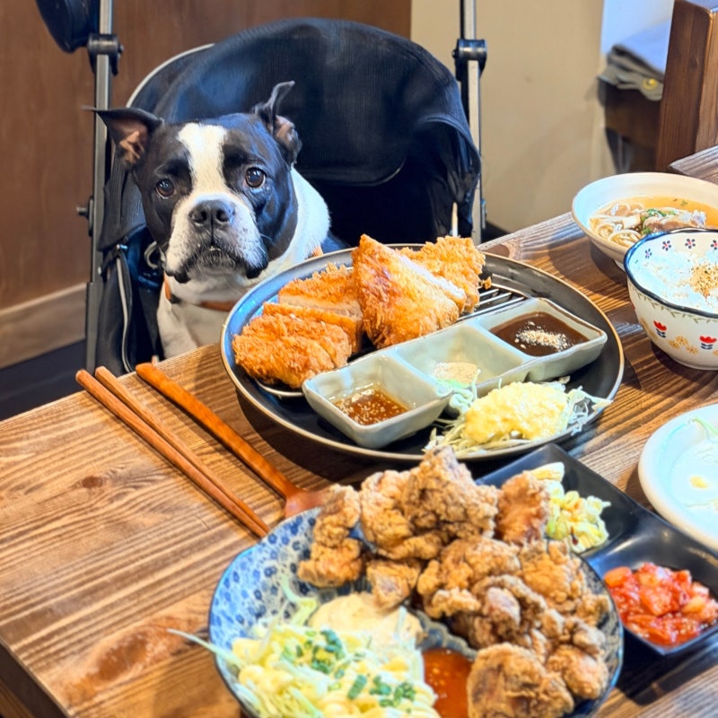 사진 3
