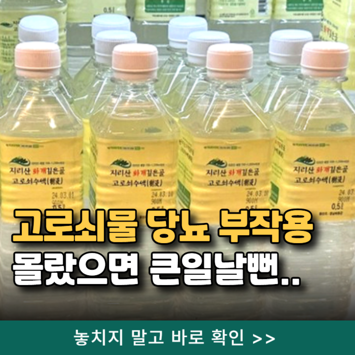 고로쇠물 효능 당뇨 부작용 몰랐으면 큰일날뻔.. 고로쇠수액 후기