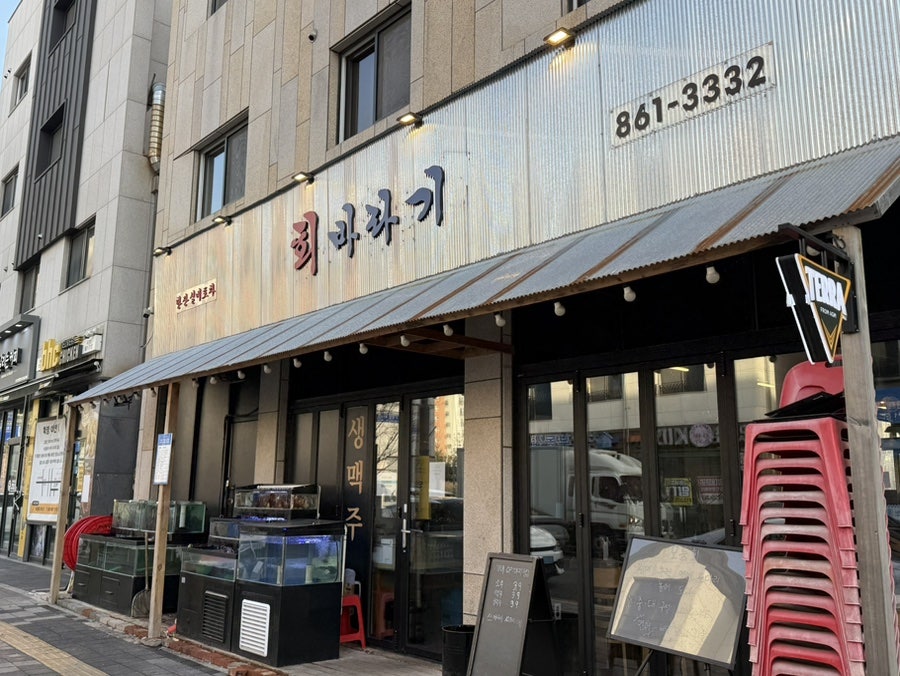 회바라기 사진 1