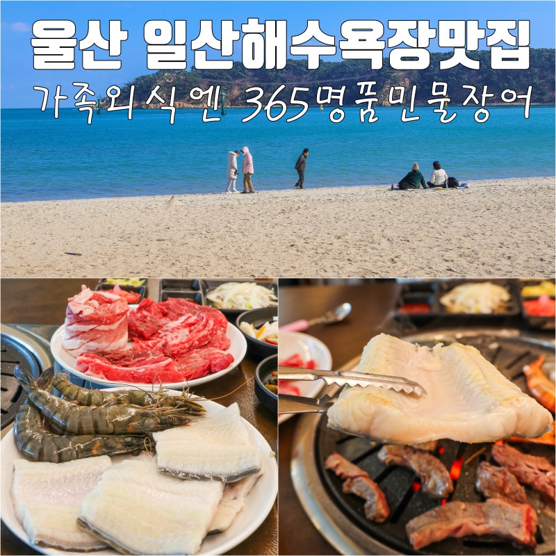 사진 2