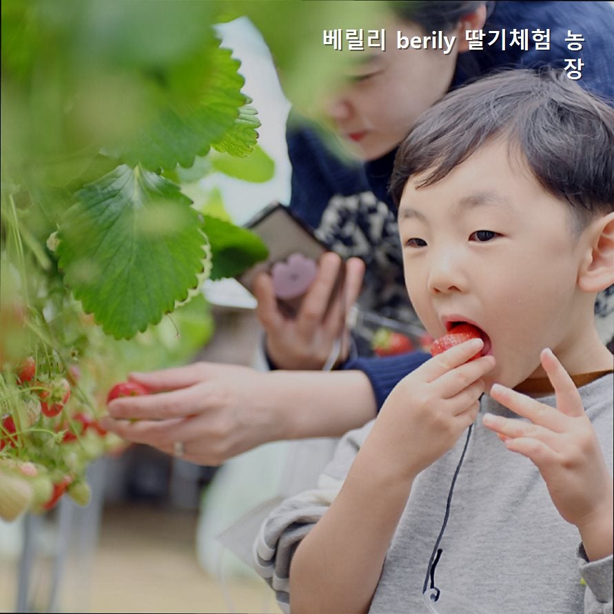 베릴리 사진 1